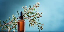 Brown Glass Dropper Bottle With Eucalyptus Serum Or Oil On Glass Shelf On Blue Background With Eucalyptus Branches And Shadows. Natural Cosmetics Based On Fermented Products.