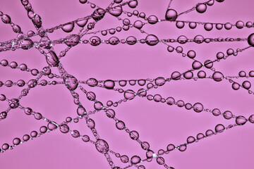 water droplets on a web , abstract background , macro photography