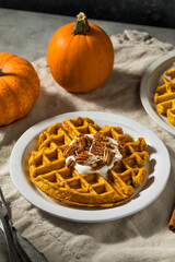 Canvas Print - Homemade Breakfast Pumpkin Waffles