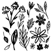 Set Of Flowers, Leaves, Floral Stems. Primitive Wild Plants Drawing With Grunge Brush. Black And White Botanical Elements. Vector Illustration. Simple Style Plants