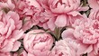  a bunch of pink peonies with green leaves on a black and white background with a pink flower in the middle of the picture.  generative ai