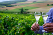 Drinking of sparkling white wine with bubbles champagne on green hilly vineyards in small village Urville in Cote des Bar, Champagne region, France