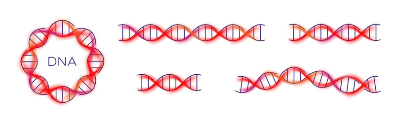 Wall Mural - DNA icon, long genetic molecule structure, dna colored set