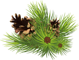 Wall Mural - Christmas decorations plants realistic composition with green tree branches and pine cones vector illustration. Eps 10