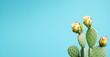 cactus in the desert, abstract luxury cactus in the desert, cactus in the sea