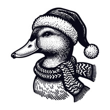 Duck Wearing A Santa Claus Hat And Scarf Christmas Sketch