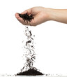 © Jade - Hand pouring black tea leaf from palm. Woman pour green tea leave down to mix with black herbal dried tea leaf. White background Isolated throwing freeze motion