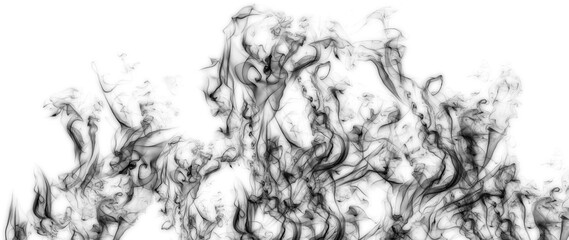 Wall Mural - transparent realistic smoke puff effect