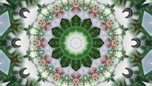 Psychedelic Flower Kaleidoscope