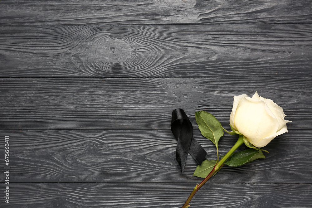 White rose and ribbon on black wooden background