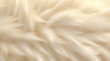 White And Gold  Feathers Background.