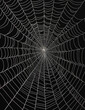 © Md.Ibrahim - A spider web on a black background