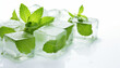 lime and mint ice cubes
