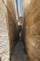 Wall Mural - A narrow street in the historical center of Cordoba, Spain