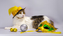 Wicked Cat In A Yellow Carnival Hat With Sequins And A Feather N