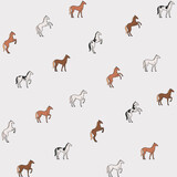Fototapeta Konie - Different breeds of horses - seamless pattern. Contour vector illustration for prints, clothing, packaging and postcards.