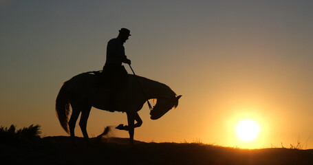 Wall Mural - man on his camargue horse at sunrise, manadier in saintes maries de la mer in camargue, in the south