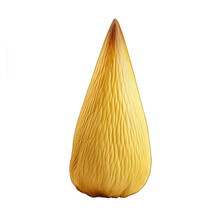 Yellowwood Cone Isolated On Transparent Background