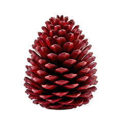 Wall Mural - Japanese red pine cone isolated on transparent background