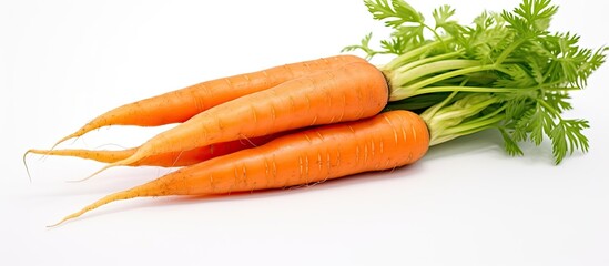 Eating a diet rich in vegetables like carrots not only promotes healthy skin teeth and overall nutrition but also provides essential vitamins antioxidants and nutrients that are beneficial 