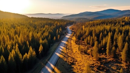 Wall Mural - Aerial view of mountain road in forest at sunset in autumn. Top view from drone of road in woods. Beautiful landscape with roadway in hills, pine trees, green meadows, golden sunlight in fall. Travel
