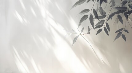 Poster - Leaf shadow and light on wall blur background. Nature tropical leaves tree branch plant shade sunlight on white wall texture shadow overlay effect foliage mockup, graphic layout, wallpaper, design