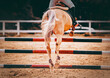 A horse leaping over a barrier at an equestrian competition, seen from behind. The skill and the exhilarating nature of competitive horse riding. The achievement in equestrian pursuits.