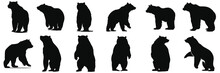 Black Bear Illustration. Set Bear Silhouette. Minimalist And Flat Logo. Isolated Vector Image, Head Bear Logo Vector, Animal Theme, Wildlife Logo.