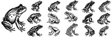 Black Frog Illustration. Set Frog Logo Black Simple Flat Icon. Minimalist And Flat Logo. Isolated Vector Image, Head Frog Logo Vector, Animal Theme, Wildlife Logo.