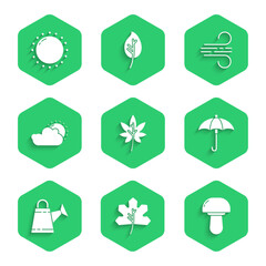 Wall Mural - Set Leaf or leaves, Mushroom, Umbrella, Watering can, Sun and cloud weather, Wind and icon. Vector