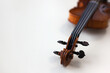 Violin's antique body closeup. String instrument. Copy space.