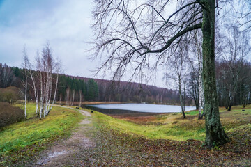 Poster - landscape with lake and trees