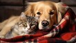 Together, dog and cat. Dog cuddles up under the house with a cat. Animal friendship