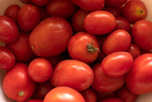 Closeup View Of A Freshly Picked Tomatoes	