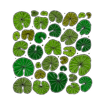 Fototapete -  - Pond square frame with lily pads leaf, top view for your design