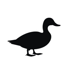 Wall Mural - Black silhouette of a Duck vector illustration