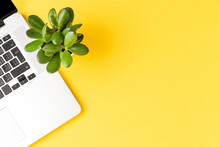 Laptop With Small Succulent On Yellow Desktop. Top View