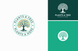 Classic Oak Maple Elm Chestnut Tree Root Silhouette. Residential landscape label stamp logo design