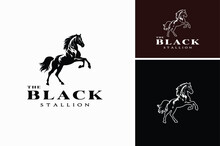 Black Rearing Hind Legs Wild Horse Equine Stallion Silhouette For Animal Wildlife Or Stable Barn Ranch Farm Logo Design