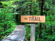 Trail Sign With Arrow Pointing