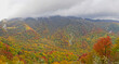 Fall colors under the clouds in Great Smoky Mountains National Park