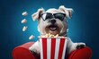 funny dog watching 3D movie in 3d glasses with popcorn on flat  background at home 