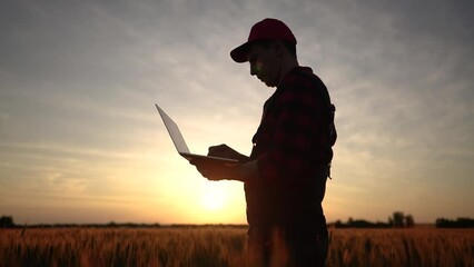 Wall Mural - agriculture. silhouette of a farmer in wheat field working on a laptop. agriculture business plants concept. male farmer with laptop in agricultural wheat field. digital lifestyle agriculture concept