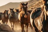 Fototapeta  - Beautiful brown horse on the background of a herd of wild horse