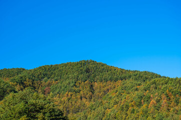 Wall Mural - もみじ湖からみる近隣の秋の山