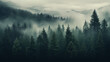 Forest poster web page PPT background