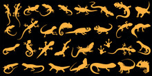 Vibrant Lizard Vector Illustration Set, Featuring Diverse Reptile Species Like Gecko, Chameleon, Iguana, And More. Perfect For Reptile Enthusiasts, Herpetology Projects, Or Exotic Pet Promotion