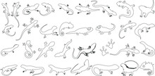 Realistic Line Art Of Lizard Illustrations Collection. Perfect For Educational Materials, Graphic Design, And More.