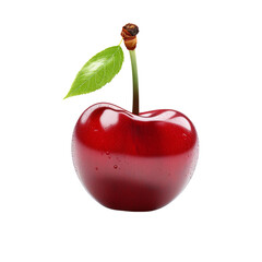 Cherry clip art