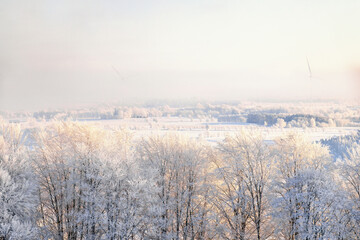 Wall Mural - Beautiful wintry countryside with hoarfrost and snow on a cold winter day